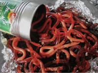 Halloween Worms Recipe - Food.com image