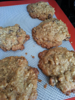 OATMEAL COOKIES WITH STEEL CUT OATS RECIPES