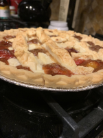 Sandhill Plum Pie Recipe | Allrecipes image