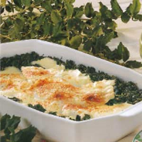 FLOUNDER WITH SPINACH RECIPES