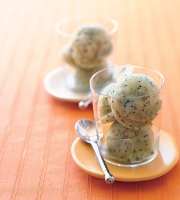 Kiwi-Lime Sorbet Recipe | Bon Appétit image