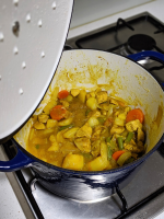 Chinese Chicken Curry Recipe - Food.com image