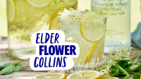 Elderflower Collins Recipe | Absolut Drinks image