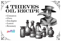 How to make Four Thieves Oil for Cleaning – Spells8 image