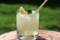 Vodka Lemonade with Mint Recipe | Allrecipes image