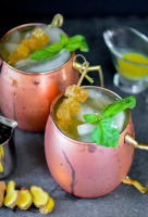 CAN YOU MAKE A MOSCOW MULE WITH GINGER ALE RECIPES