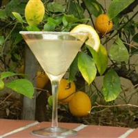 Lemon Drop Cocktail Recipe | Allrecipes image