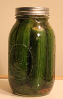Kosher Jewish Pickles Recipe - Food.com image