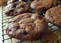 Chocolate Chocolate Chip Cookies Recipe - Food.com image