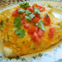 Enchanted Sour Cream Chicken Enchiladas Recipe | Allrecipes image