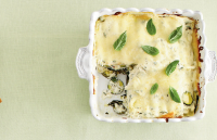 LASAGNA WITH ZUCCHINI AND SPINACH RECIPES