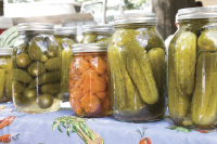 Kosher Dill Pickles Recipe | Southern Living image