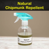7 Smart & Safe Chipmunk Repellents - Tips Bulletin image