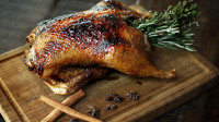GRILLED WHOLE DUCK RECIPES RECIPES