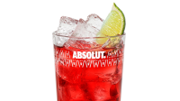 Malibu and Cranberry Recipe | Absolut Drinks image
