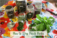 Mommy's Kitchen : How to Dry Fresh Herbs in the Oven image