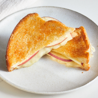 RIVAL GRILLED CHEESE MAKER RECIPES