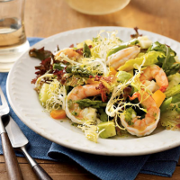Shrimp and Asparagus Salad Recipe | MyRecipes image