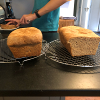 Whole Wheat Bread II Recipe | Allrecipes image