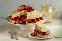 VINTAGE STRAWBERRY DISHES RECIPES