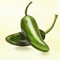 Ancho Chile Pesto with Queso Fresco - Dip Recipes image