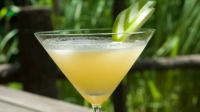 8 Citrusy Calamansi Cocktail Recipes – Advanced Mixology image