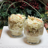 COLESLAW RECIPE WITH APPLE RECIPES