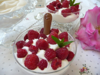 Blushing Maid - German Raspberry Dessert Recipe - Food.com image