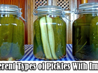 8 Different Types of Pickles With Images - Asian Recipe image