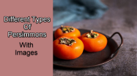 7 Different Types Of Persimmons With Images - Asian Recipe image