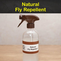 NATURAL FLY REPELLENTS RECIPES