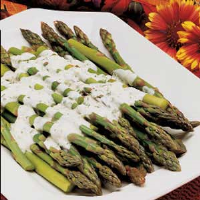 OLD CHICAGO CREAMY HERB DRESSING RECIPE RECIPES