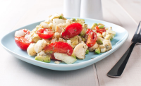 HEARTS OF PALM AND TOMATO SALAD RECIPES