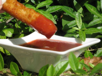 Plum Sauce Recipe - Food.com image