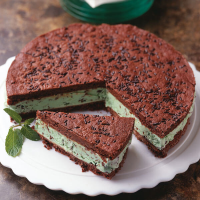 24 INCH ROUND CAKE PAN RECIPES