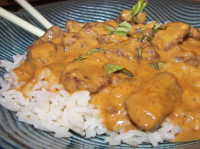BEEF RED CURRY RECIPE RECIPES