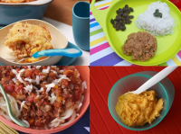 BABY FOOD WARMER PLATE RECIPES