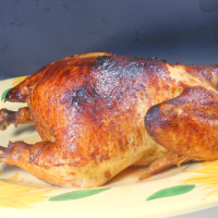 CHICKEN STAND FOR OVEN RECIPES