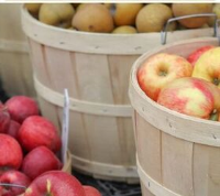 Ideas for Canning & Preserving Apples This Fall | Foodtalk image