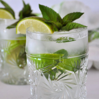 MOJITO WITHOUT RUM RECIPES
