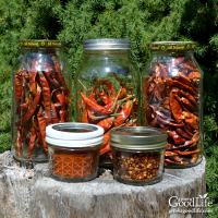 3 Ways to Dry Peppers for Food Storage - Grow a Good Life image