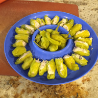 DRIED PEPPERONCINI PEPPERS RECIPES
