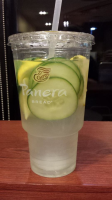 Refreshing Lemon & Cucumber Water Recipe - Food.com image