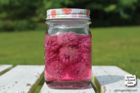 Chive Blossom Vinegar Infusion - Grow a Good Life image