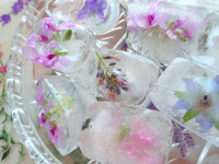 EDIBLE FLOWERS ICE CUBES RECIPES