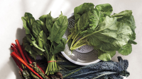 HOW TO FREEZE SWISS CHARD WITHOUT BLANCHING RECIPES