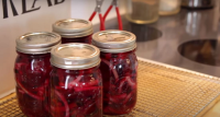 Canned beet recipes are the ultimate elegance in your ... image