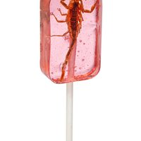 Scorpion Lollipop - Watermelon recipe | All The Flavors image
