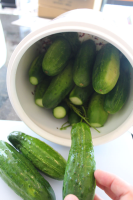 Old Fashion Fermented Dill Pickles - Food Mack image