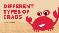13 Different Types Of Crabs With Images - Asian Recipe image